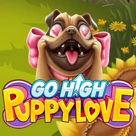 Go High Puppy Love online slot from RubyPlay – play at twindorr.com
