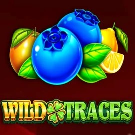Wild Traces online slot from Amusnet Interactive – play at twindorr.com